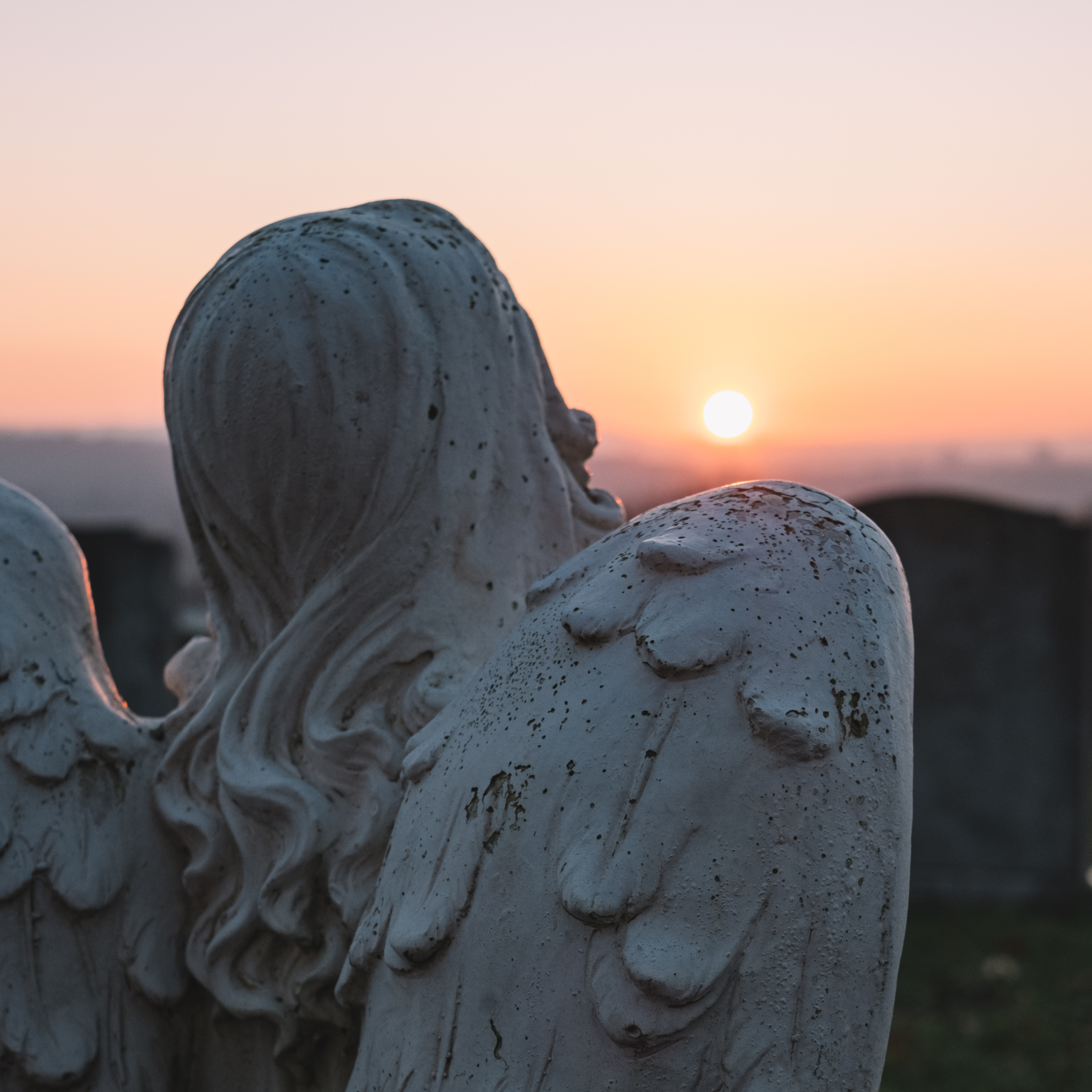 Healing Mediumship Readings